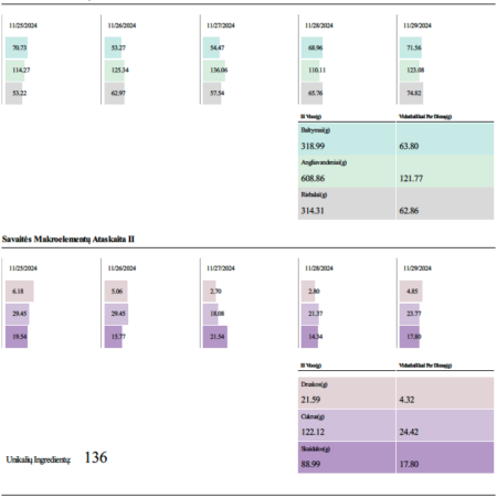 Mitybos ataskaita (pavyzdys)